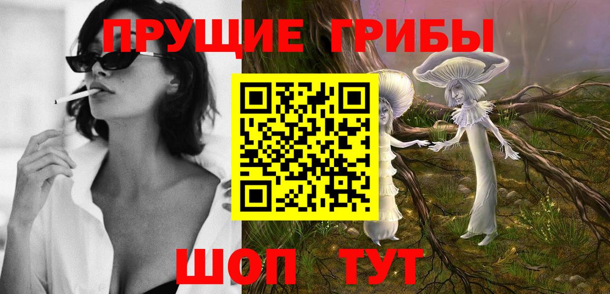 Псилоцибиновые грибы прущие грибы  Галлюциногенные грибы Cubensis  Вход с VPN  Янаул 